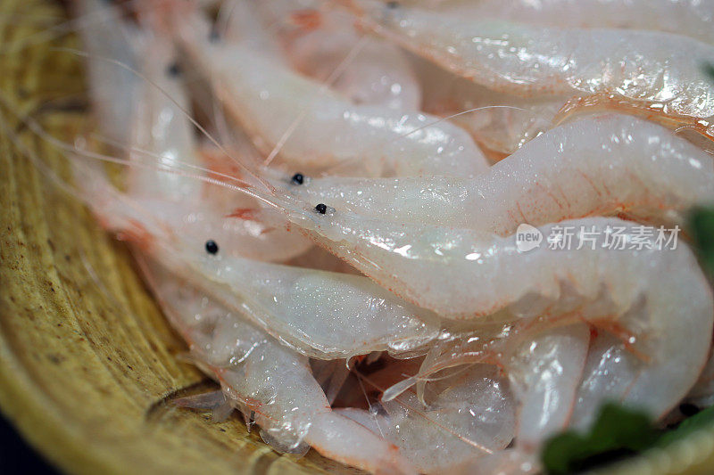 日本玻璃虾(宽绒虾，Shiroebi, Metapenaeopsis lata)的风格样品微距照片，在黑色背景上拍摄。